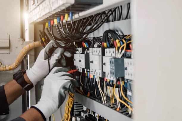 Best Electric Panel Repair  in Livingston, AL